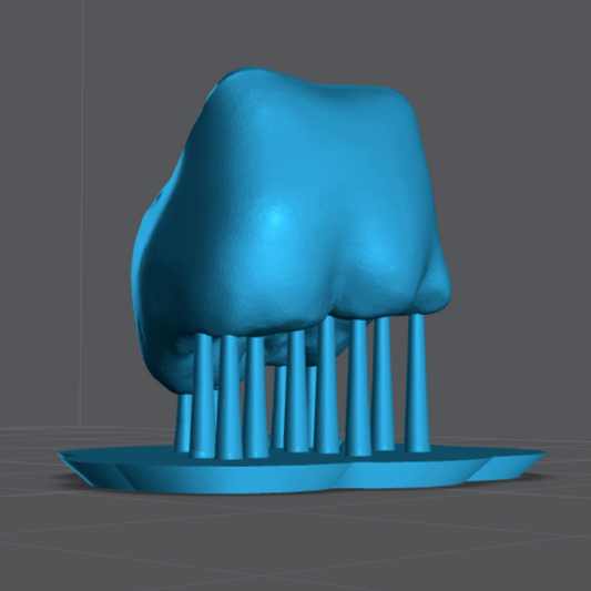 Parametri supporti professionali